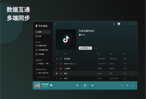 汽水音乐常见问题有哪些？