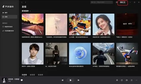 汽水音乐账号类型选择